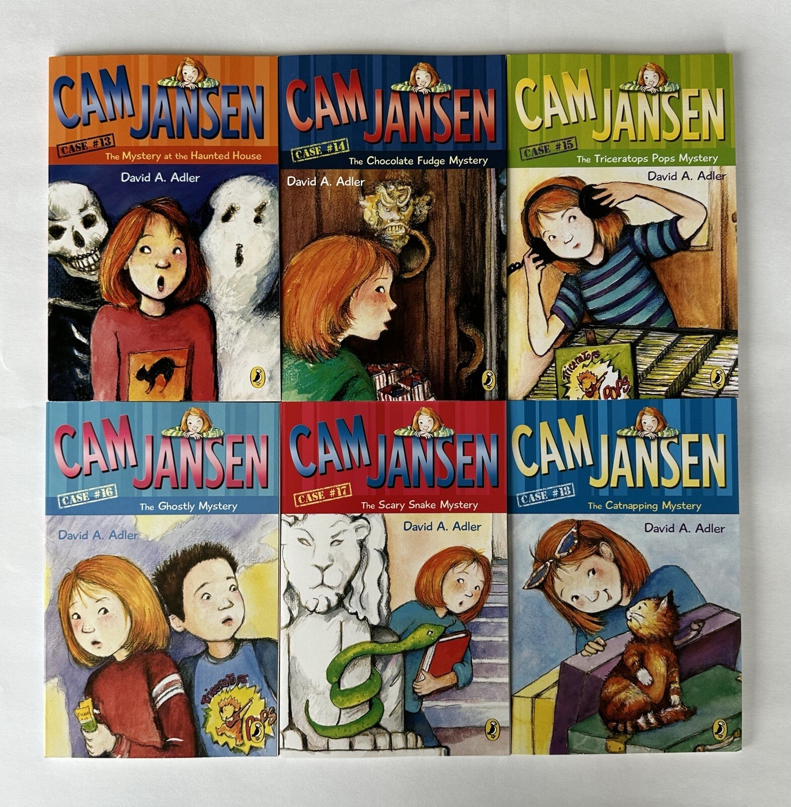 Cam Jansen Children&rsquo;s Mystery Books Set by David Adler Lot 34