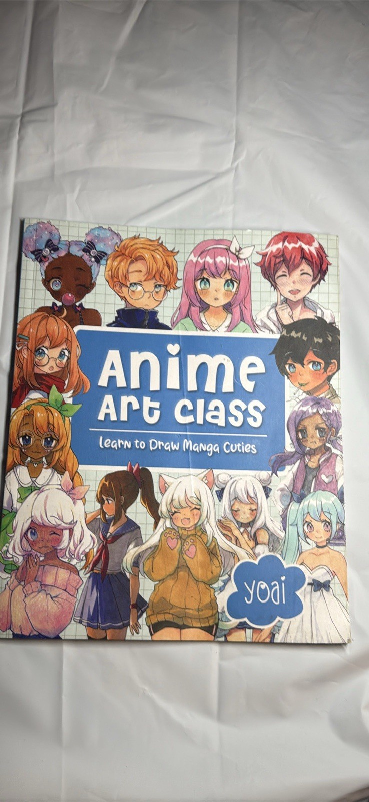 Chartwell Books Anime Art Class Paperback Illustrated Manga Drawing Activity YA
