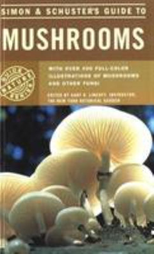 Simon and Schuster&rsquo;s Guide to Mushrooms Paperback Gary H. Lincoff