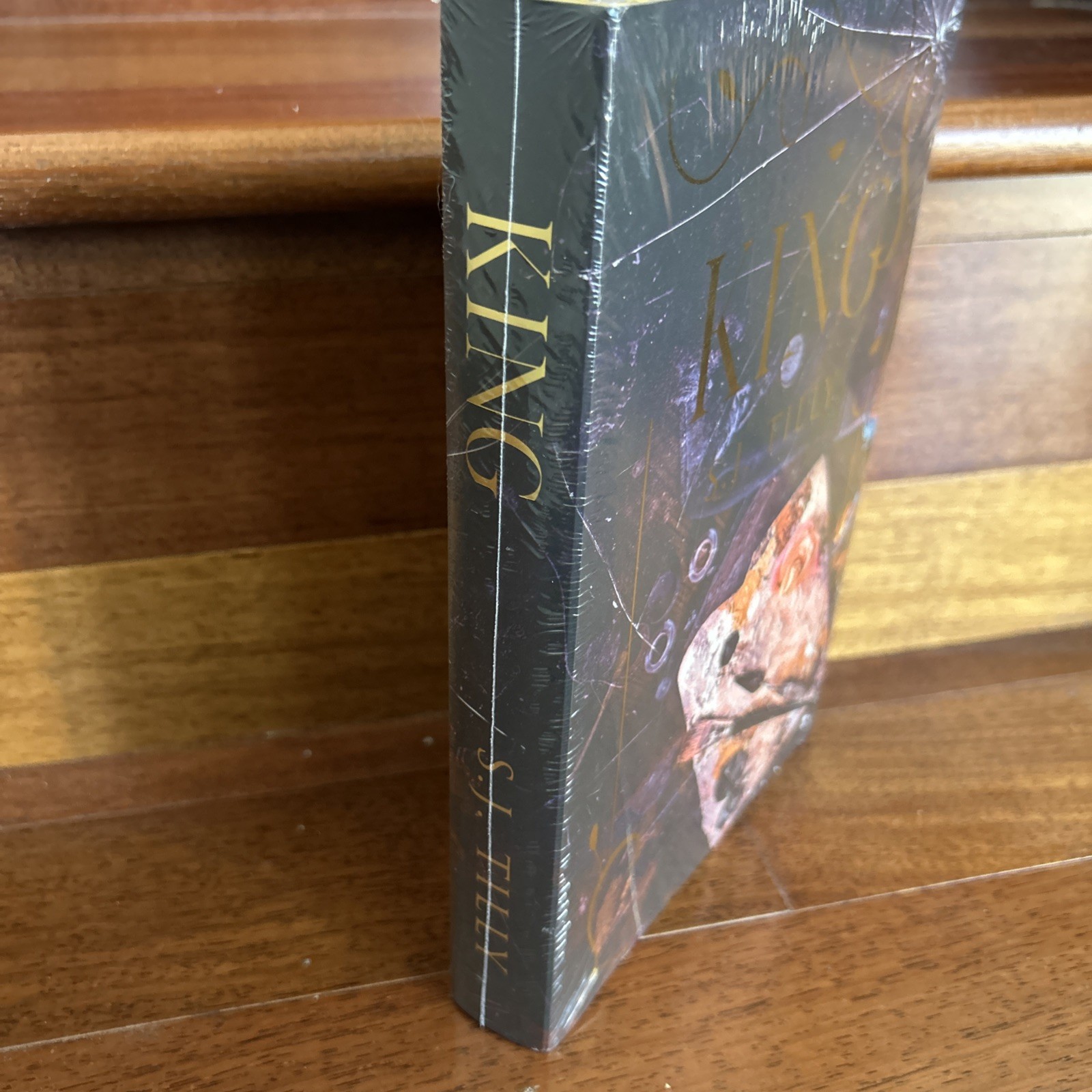 Nero & King by S.J. Tilly Alliance Mystic Box Edition Stenciled Edges Hardcover