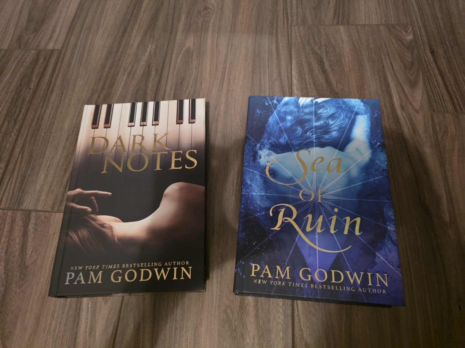 Mystic&rsquo;s Dark Notes & Sea of Ruin by Pam Godwin