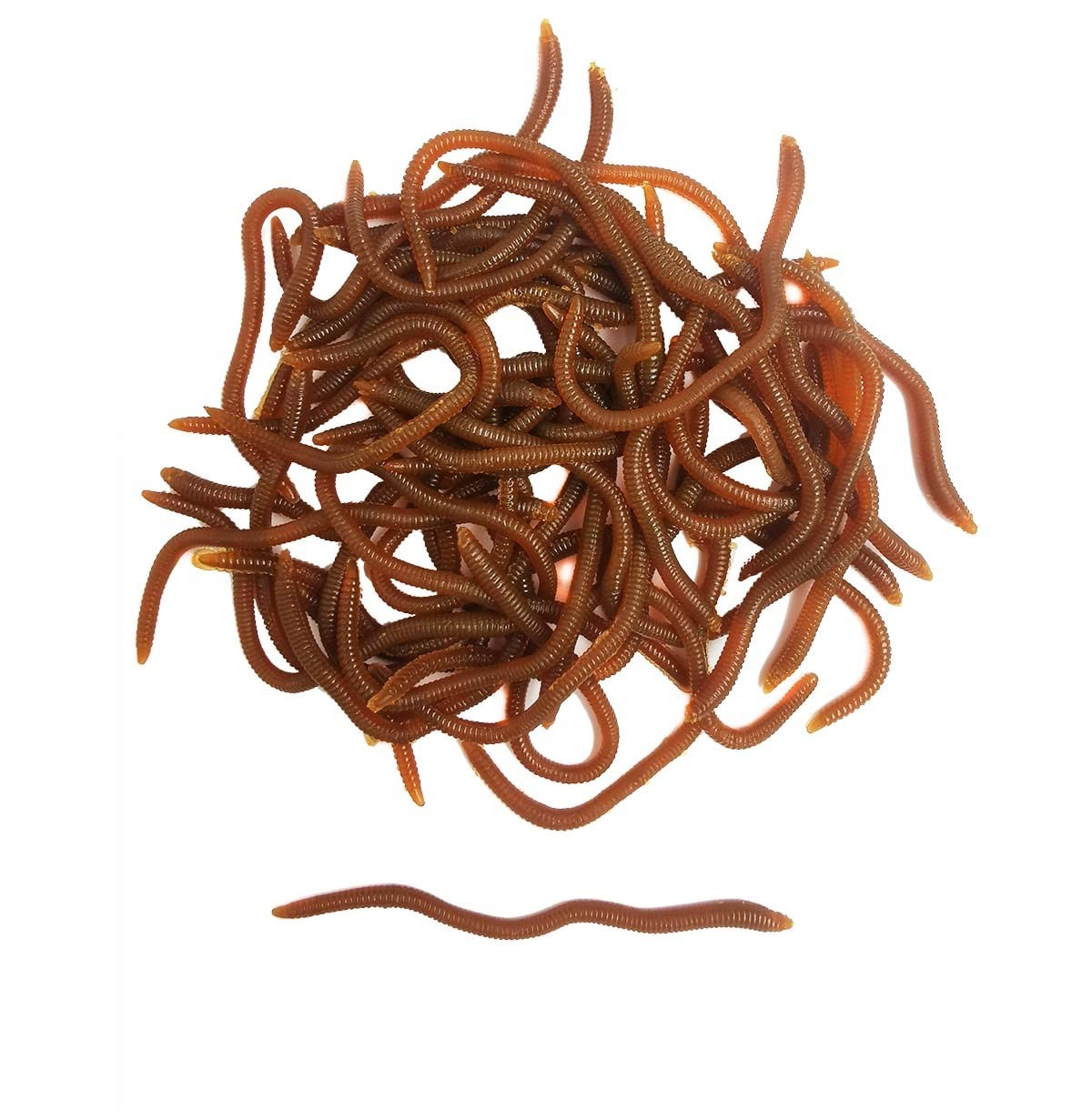 1.6in/3.3in Fishing Soft Lure Trout Worm 3.3inch, Brown (50pcs/Pack)