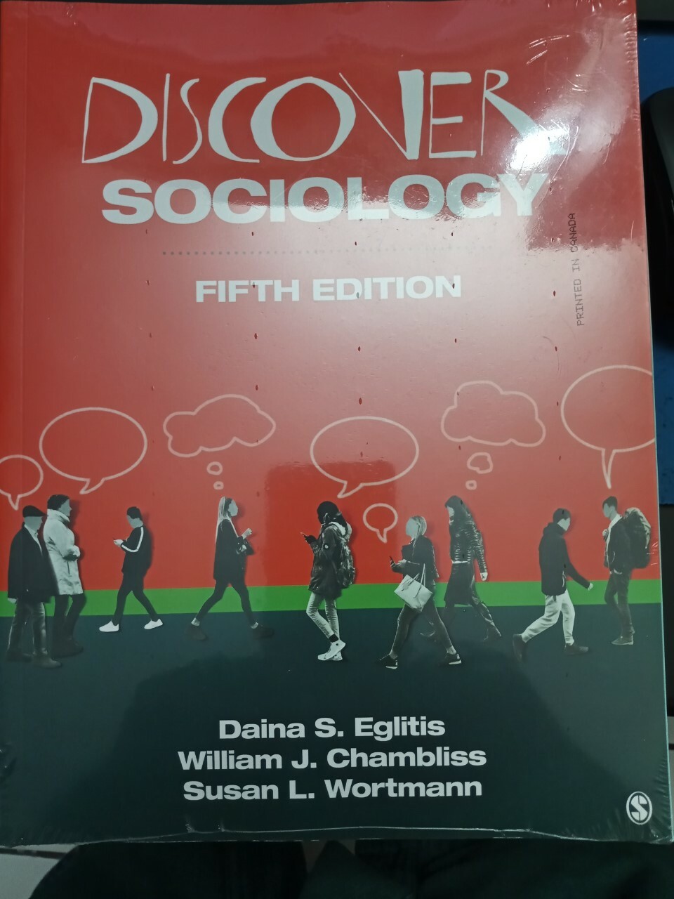 DISCOVER SOCIOLOGY BY DAINA S. EGLITIS