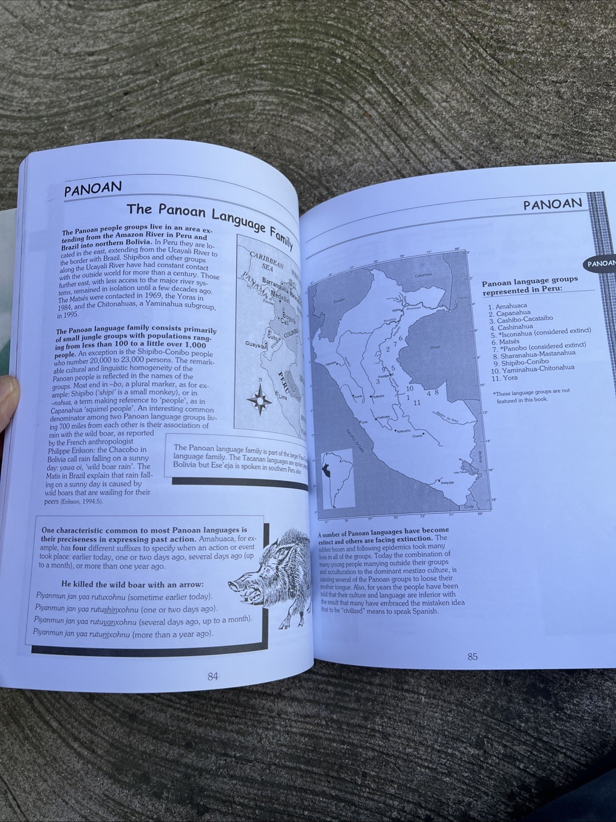People of Peru: The Summer Institute of Linguistics 1999 Book First Edition