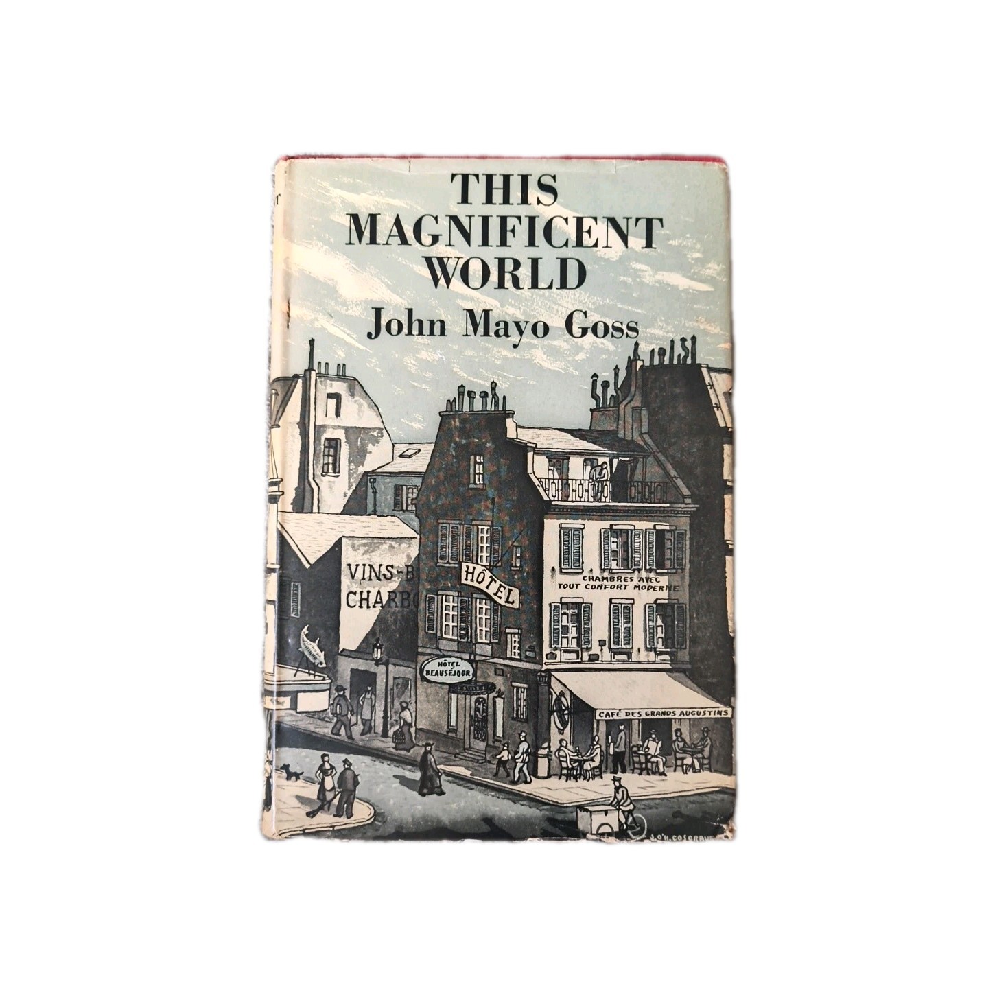 This Magnificent World by John Mayo Gross First Edition 1948 Rinehart vintage