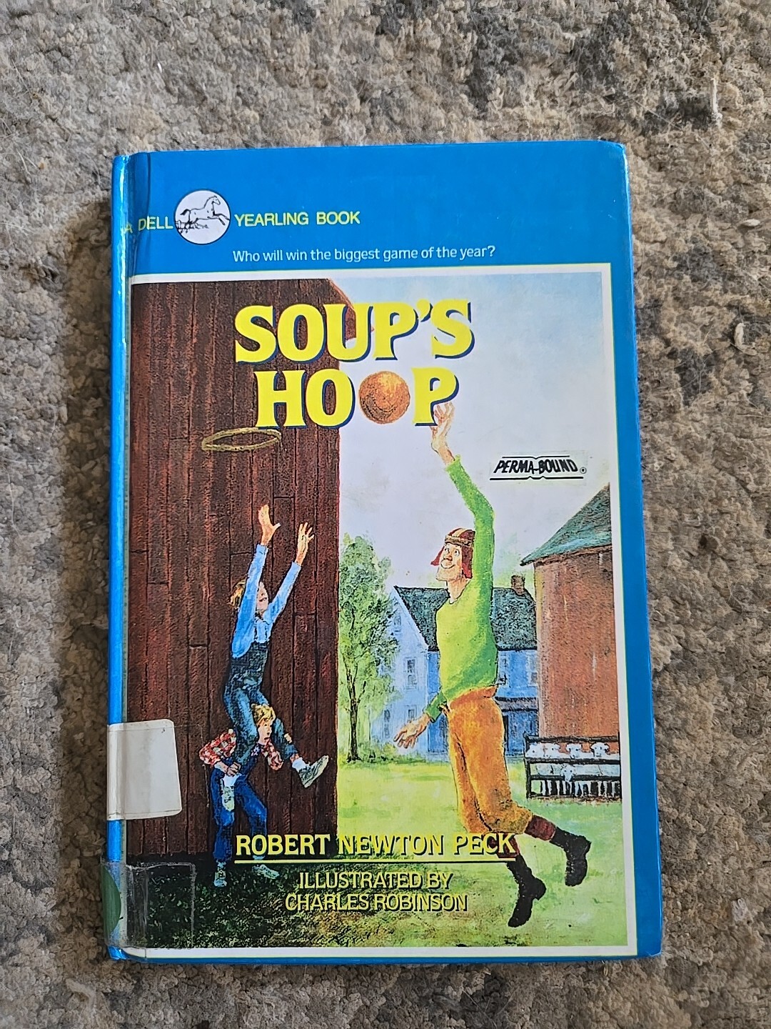 Soup&rsquo;s Hoop by Peck, Robert Newton Hardcover 1990 Good Condition