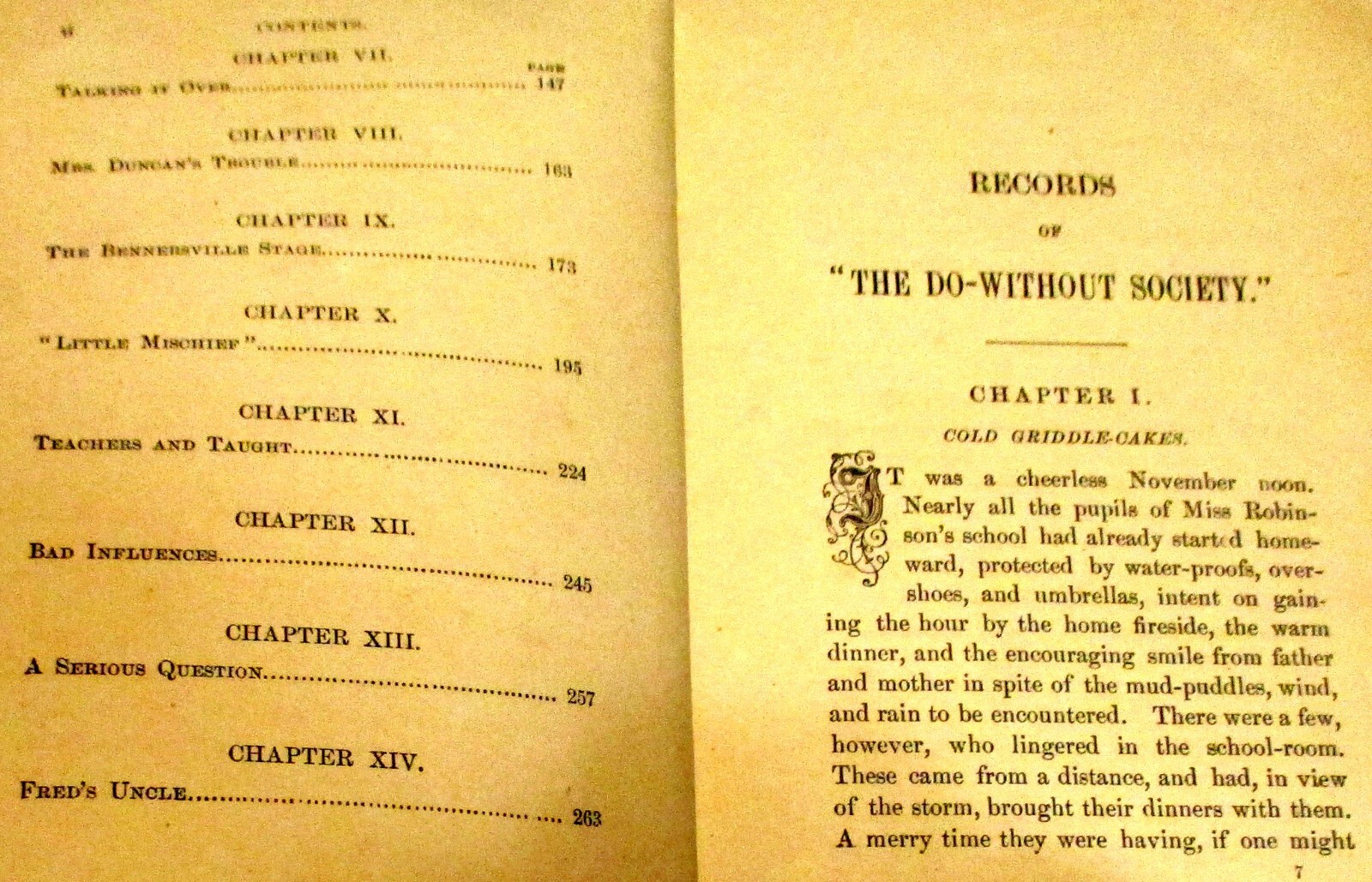 1878 Record of The Do Without Society by Emily Hartley H/C 272 Pages RARE!!!