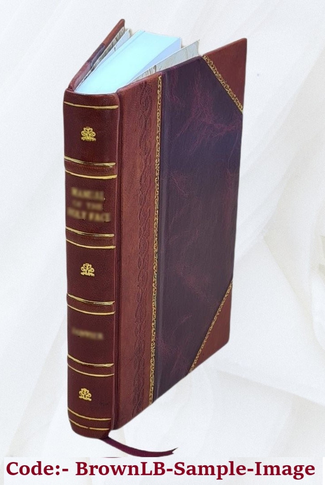 A Catechism Of High Pressure Or Non-Condensing Steam Engines 187 [Leather Bound]