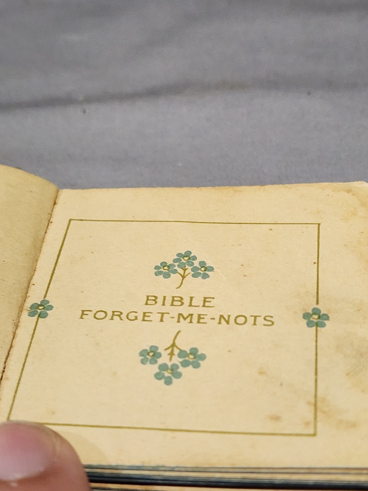Antique 1900&rsquo;s Bible Forget-Me-Nots By Morning & Night Watches Mini Book