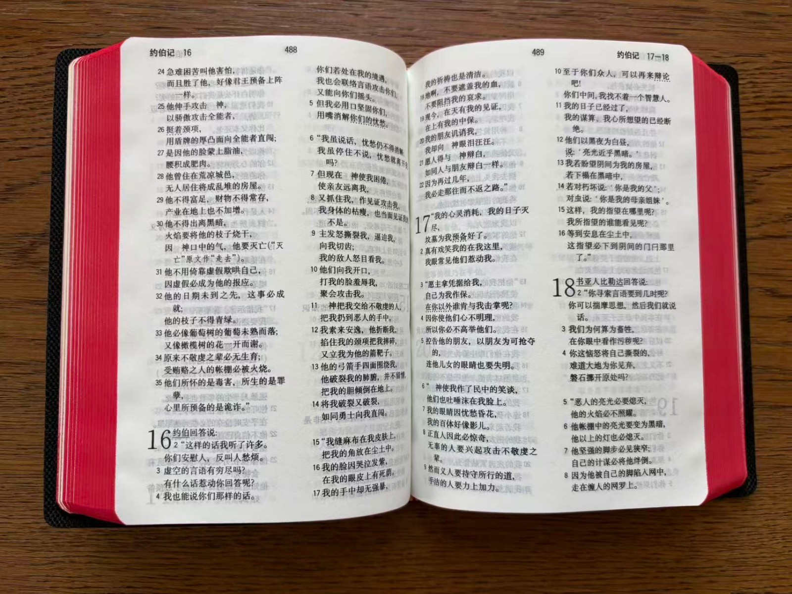 和合本 简体中文圣经 全新塑封 64K Simplified Chinese Bible CUV 美国本土发货 Pocket Size 红边 US Stock