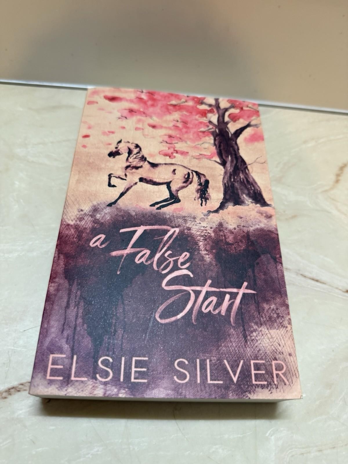Elsie Silver A False Start