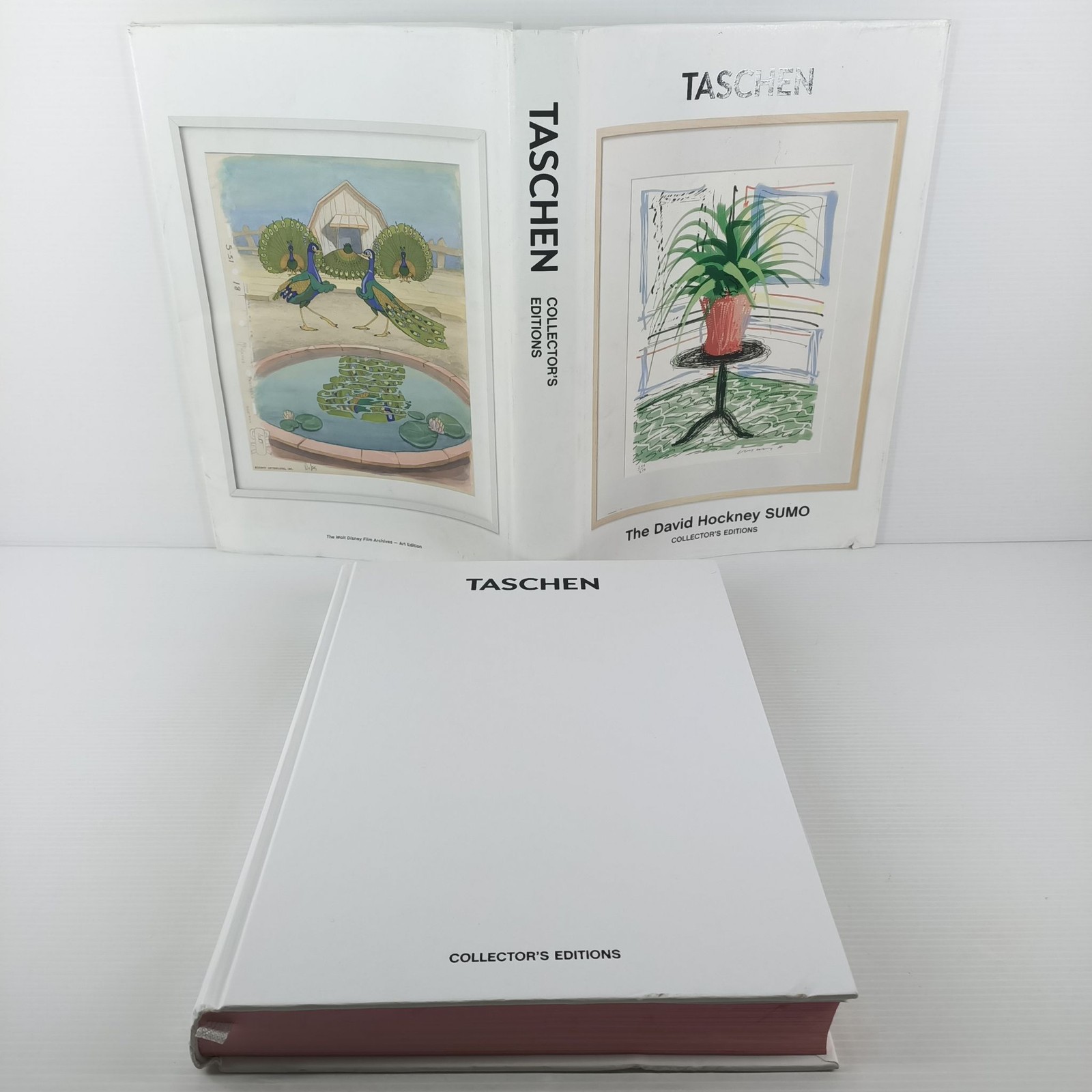 TASCHEN The David Hockney SUMO Collector&rsquo;s Editions Art Book 2016-17