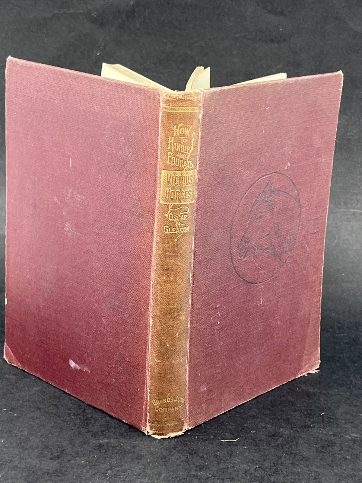 1918 HOW to HANDLE & EDUCATE VICIOUS HORSES-205 Pages-Oscar Gleason-Illustrated