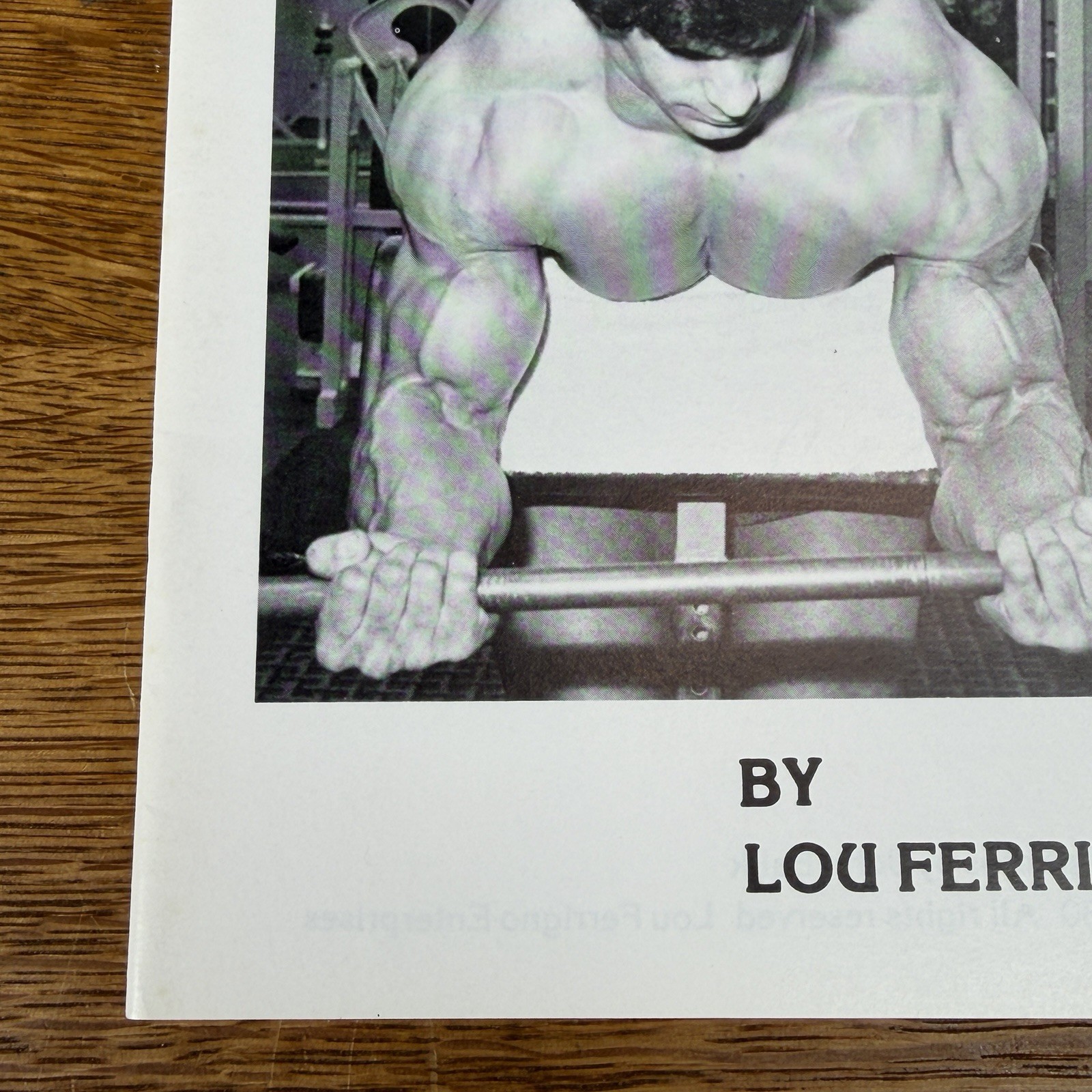 Super Rare Original Lou Ferrigno Muscular Size Power Bodybuilding Booklet Book
