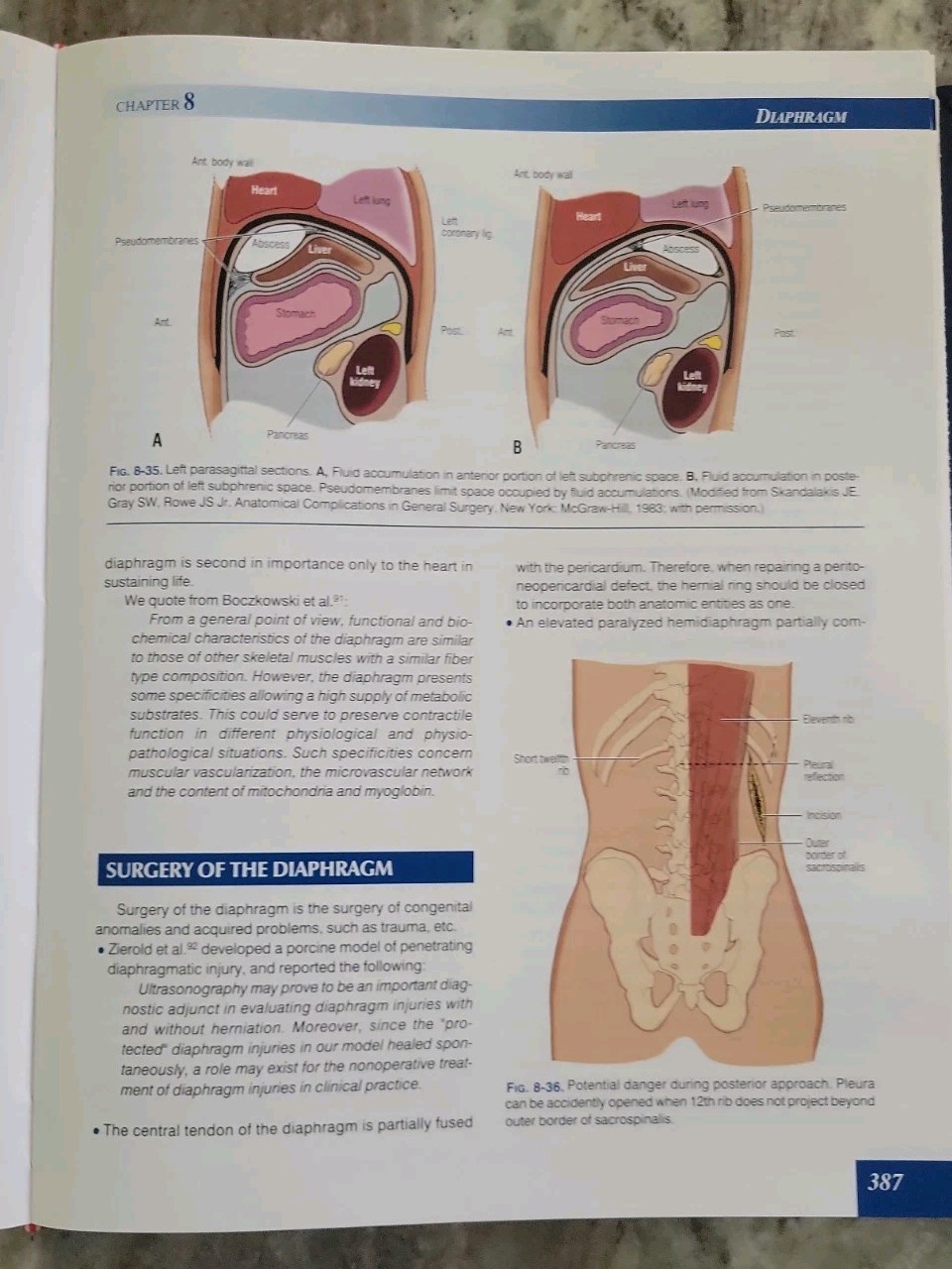 Skandalakis&rsquo; Surgical Anatomy: The Embryologic and Anatomic Basis 1st & 2nd Vol