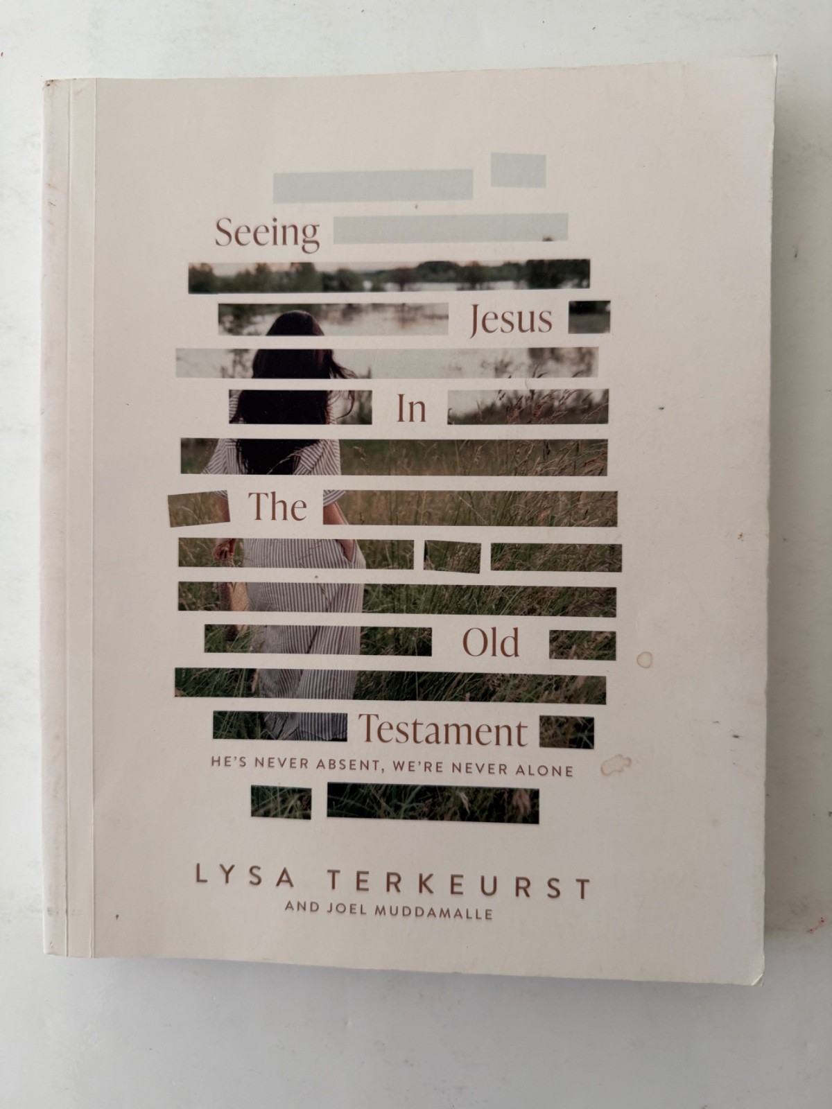 Seeing Jesus In The Old Testament, By Lysa Terkeurst: Paperback ~ Free Ship!