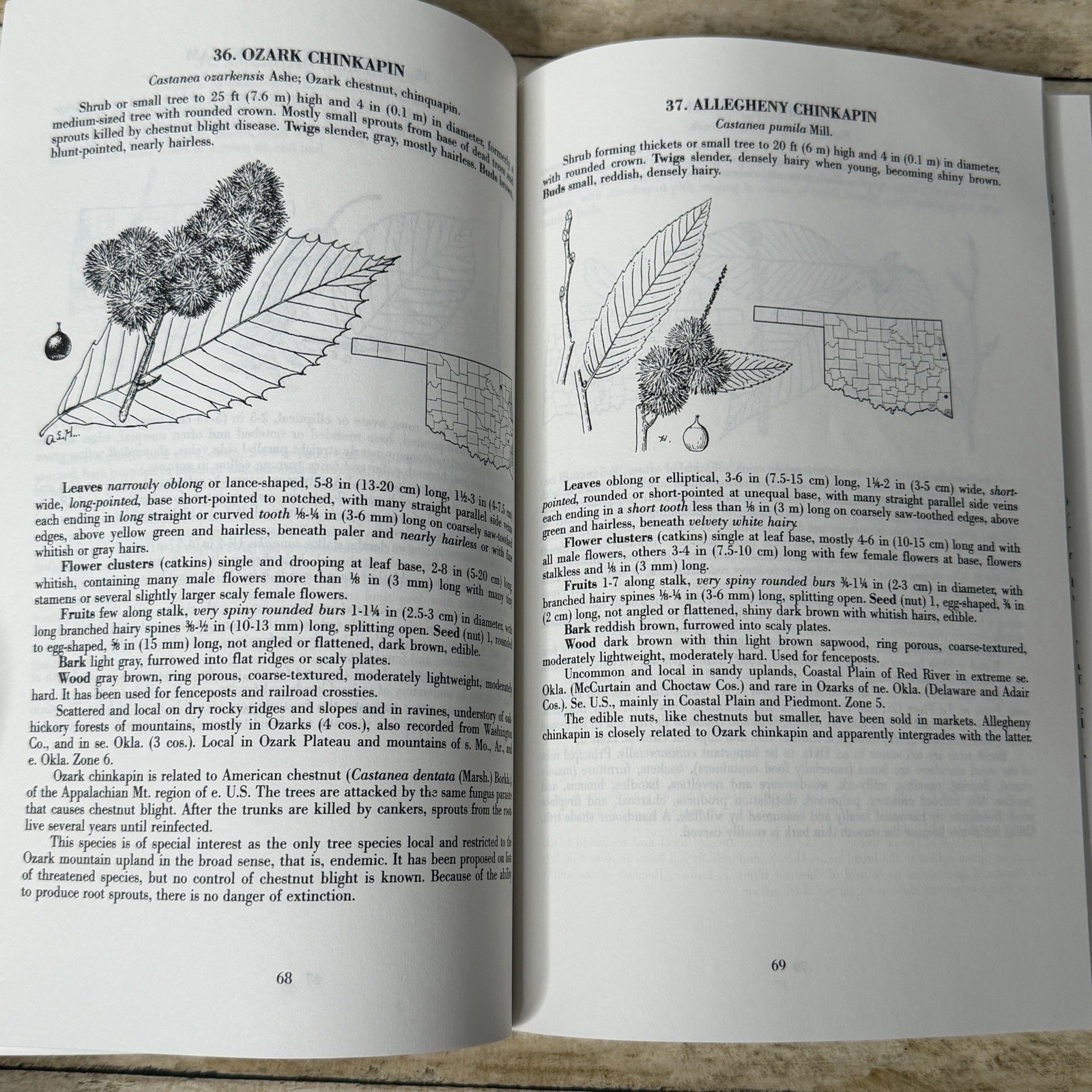 Forest Trees of Oklahoma Guidebook 1991 How to Know Them Botany Illustrated