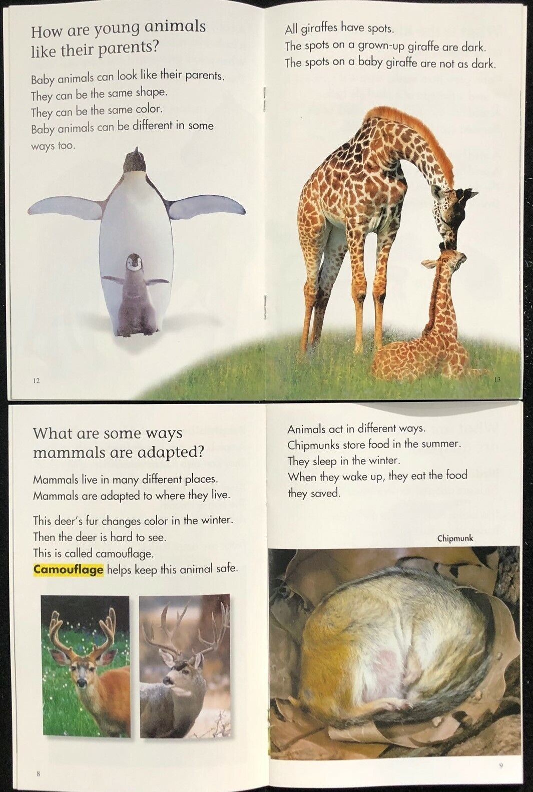 2nd Grade LIFE SCIENCE Curriculum Readers (12 books) Teachers/Homeschool/Tutors