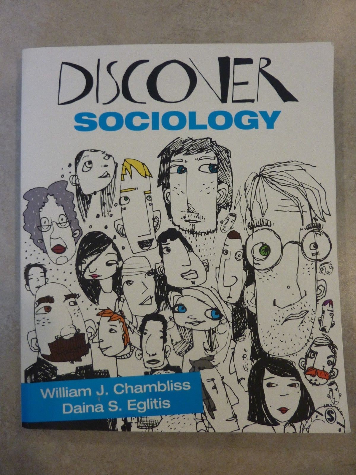 Discover Sociology by William J. Chambliss, Daina S. Eglitis (VERY GOOD!)