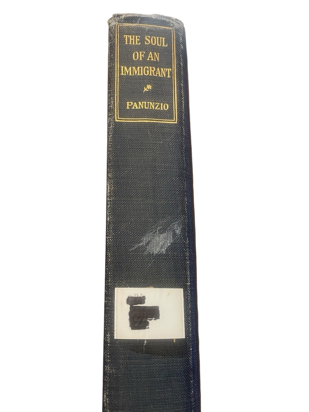 Soul Of An Immigrant By Constantine Pununzio 1924 Hardcover Edition Macmillan