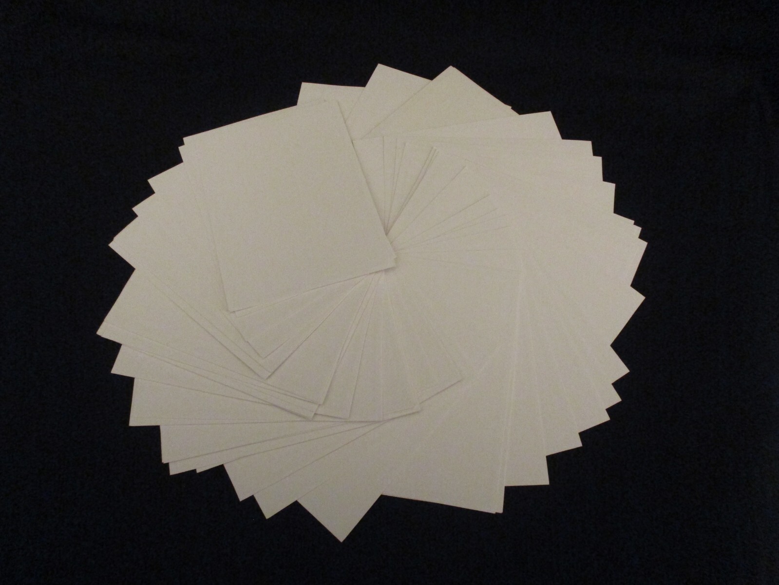 50 – White Specimen Catalog Cards E4290