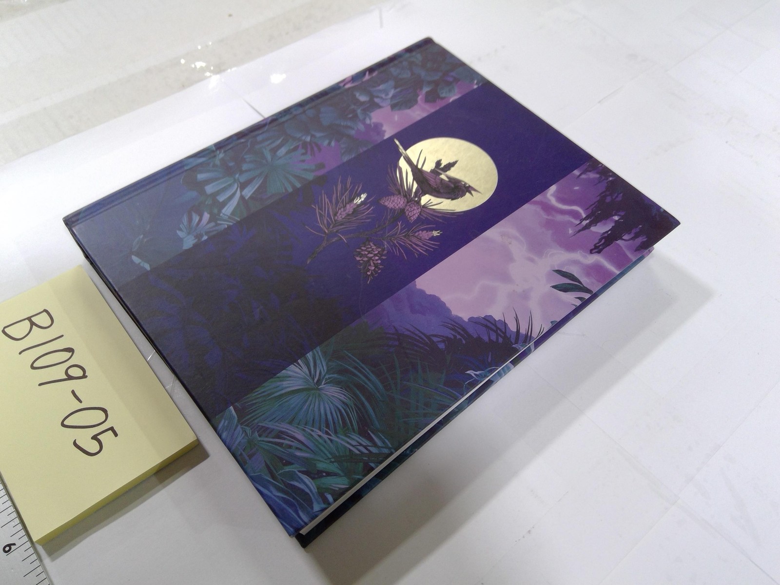 Catching Fire Suzanne Collins Scholastic Purple HC YA Dystopian Fantasy Novel