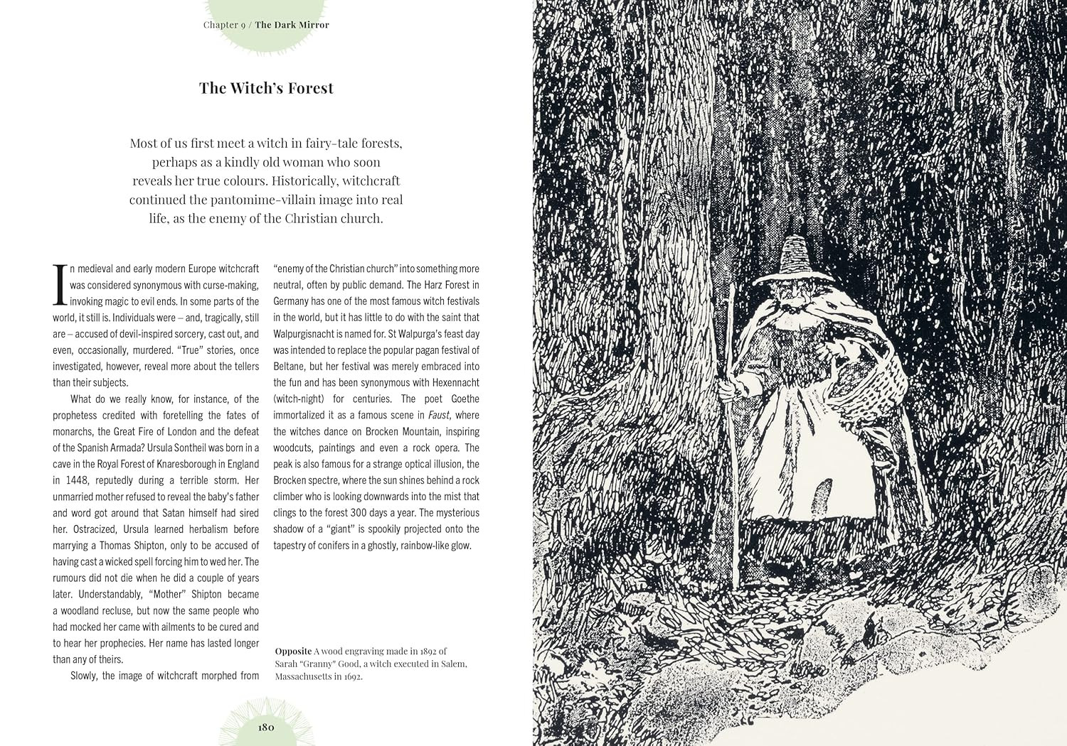Witch&rsquo;s Forest: Trees in magic, folklore and traditional remedies (Royal Botanic