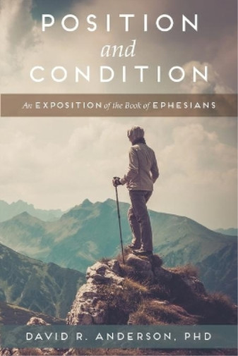 David R Anderson Position and Condition (Paperback)