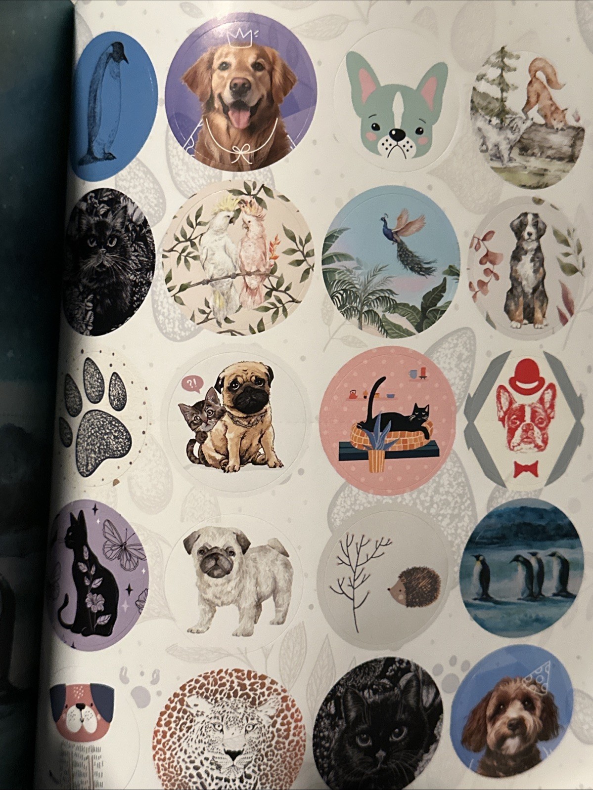 Paper Paper Paper The Animals Collection Book 180 Pages Create And Craft With