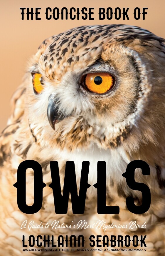 The Concise Book of Owls Paperback (Includes 20 color photographs) Like New