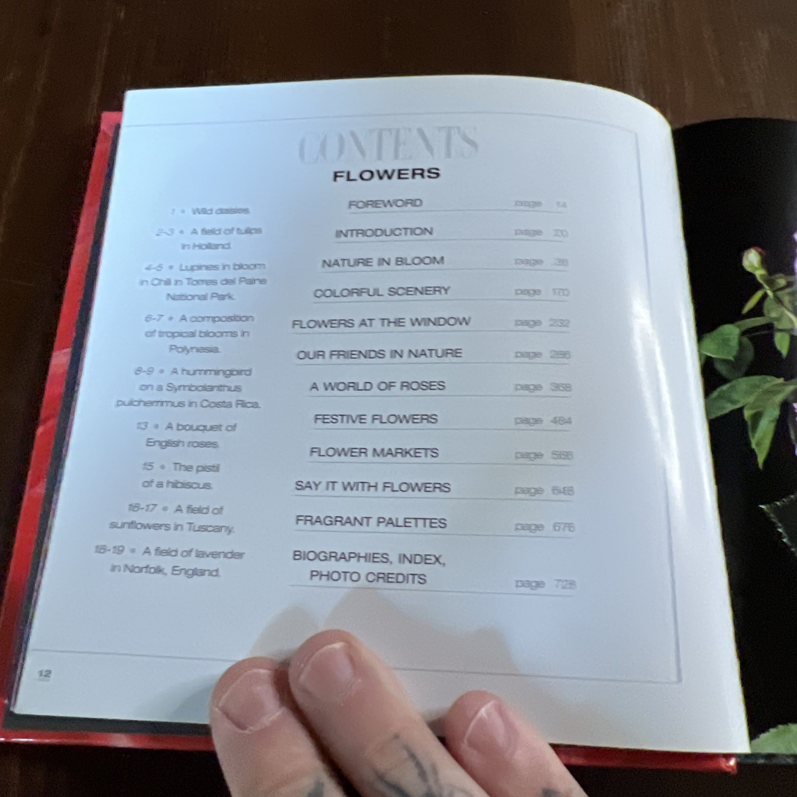 Flowers Cube book Valeria Manferto De Fabianis Hardback 736 pages