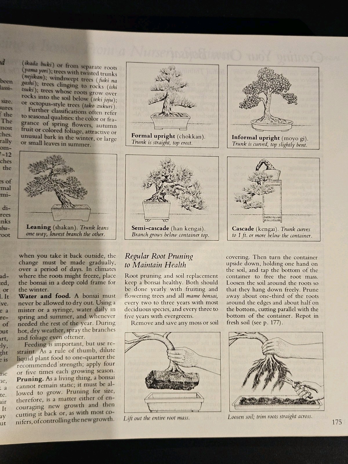 Reader&rsquo;s Digest Illustrated Guide to Gardening in Canada 1979 640 Pages HC