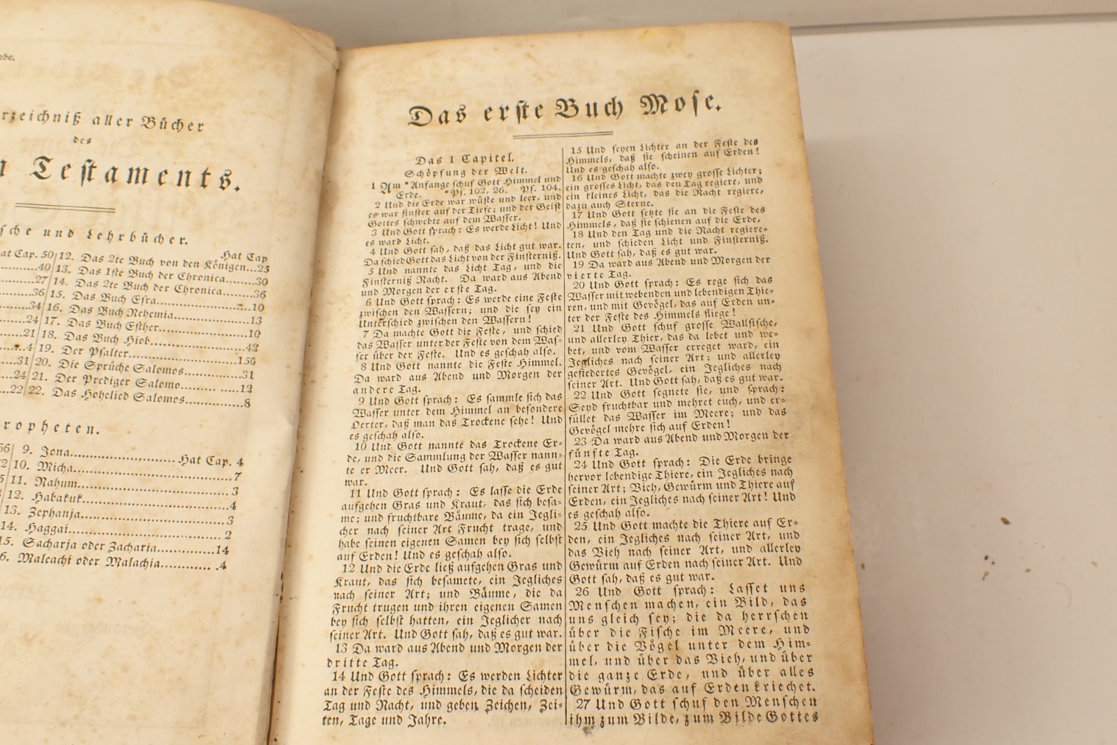 1847 Pre Civil War German Bible Die Bible New York 272 pages