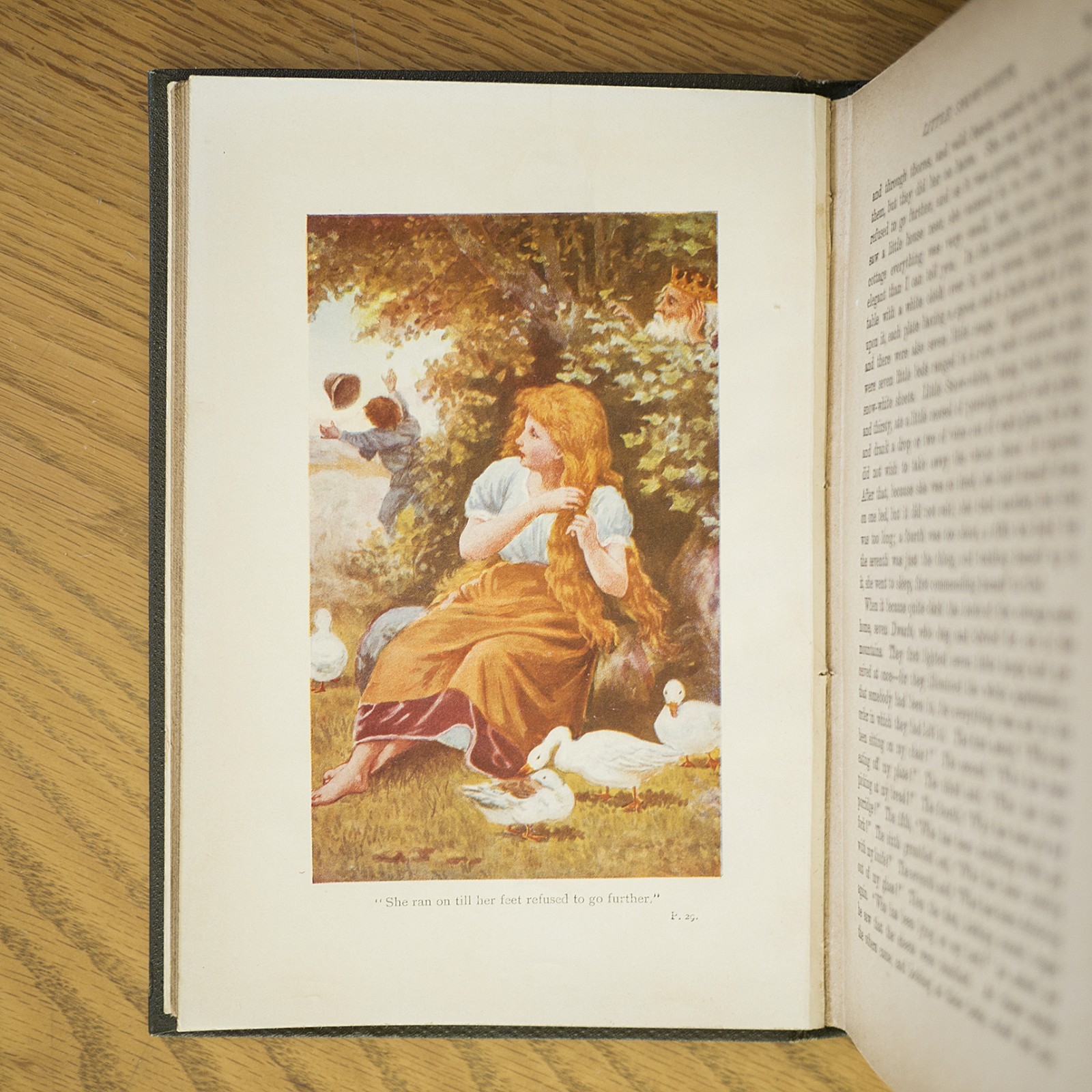 1895 BROTHERS GRIMM FAIRY TALES DRAGONS ELF WITCH OCCULT MYTH MAGIC ANTIQUE BOOK