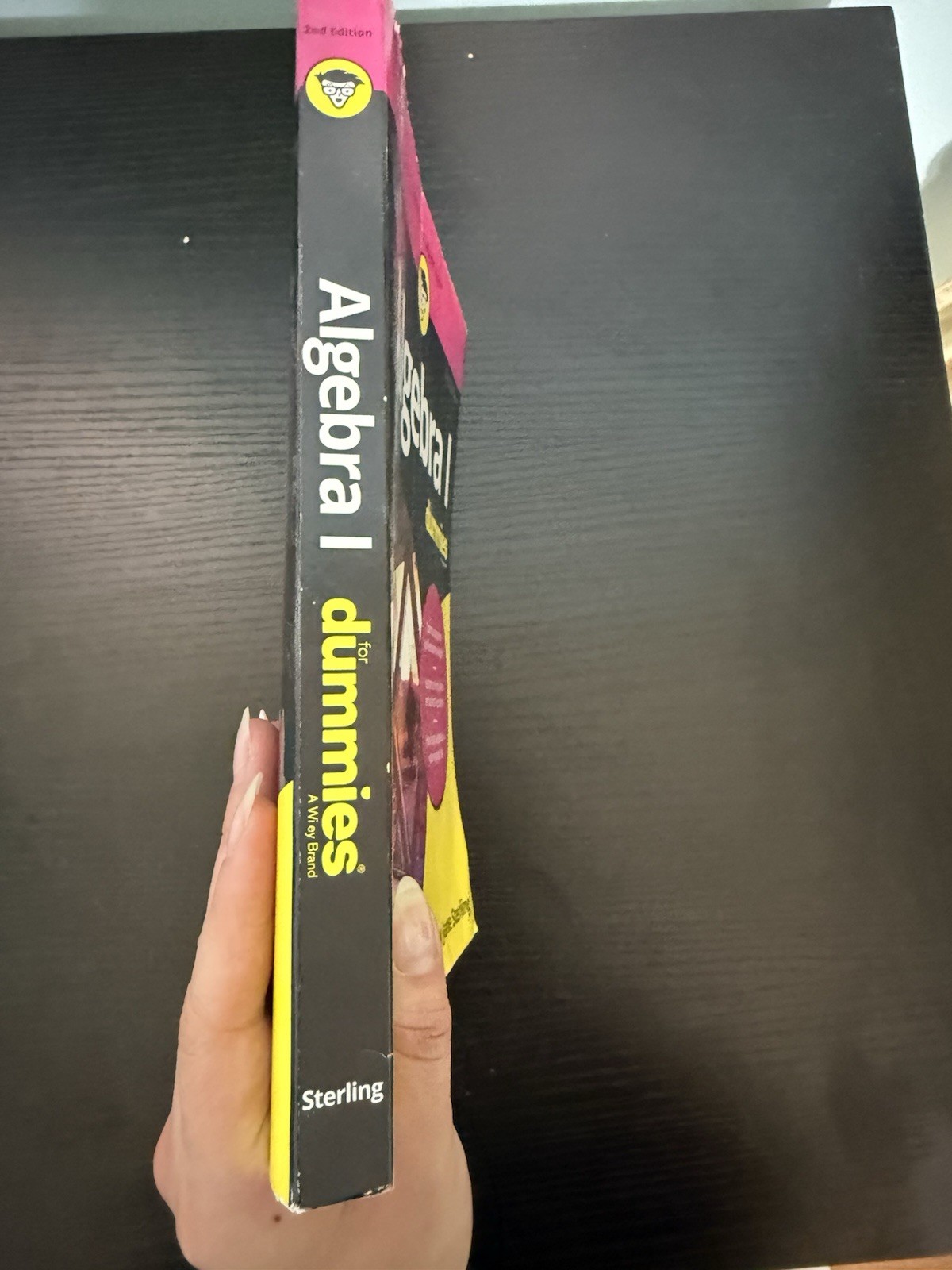 For Dummies Algebra I For Dummies 2nd Ed Mary Jane Sterling Paperback Wiley