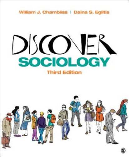 Discover Sociology by William J Chambliss: Used