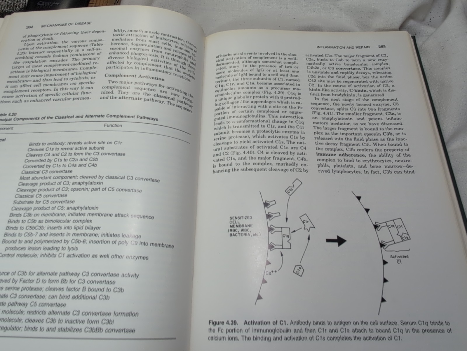 Mechanisms of Disease A Textbook of Comparative General Pathology 2nd Edition