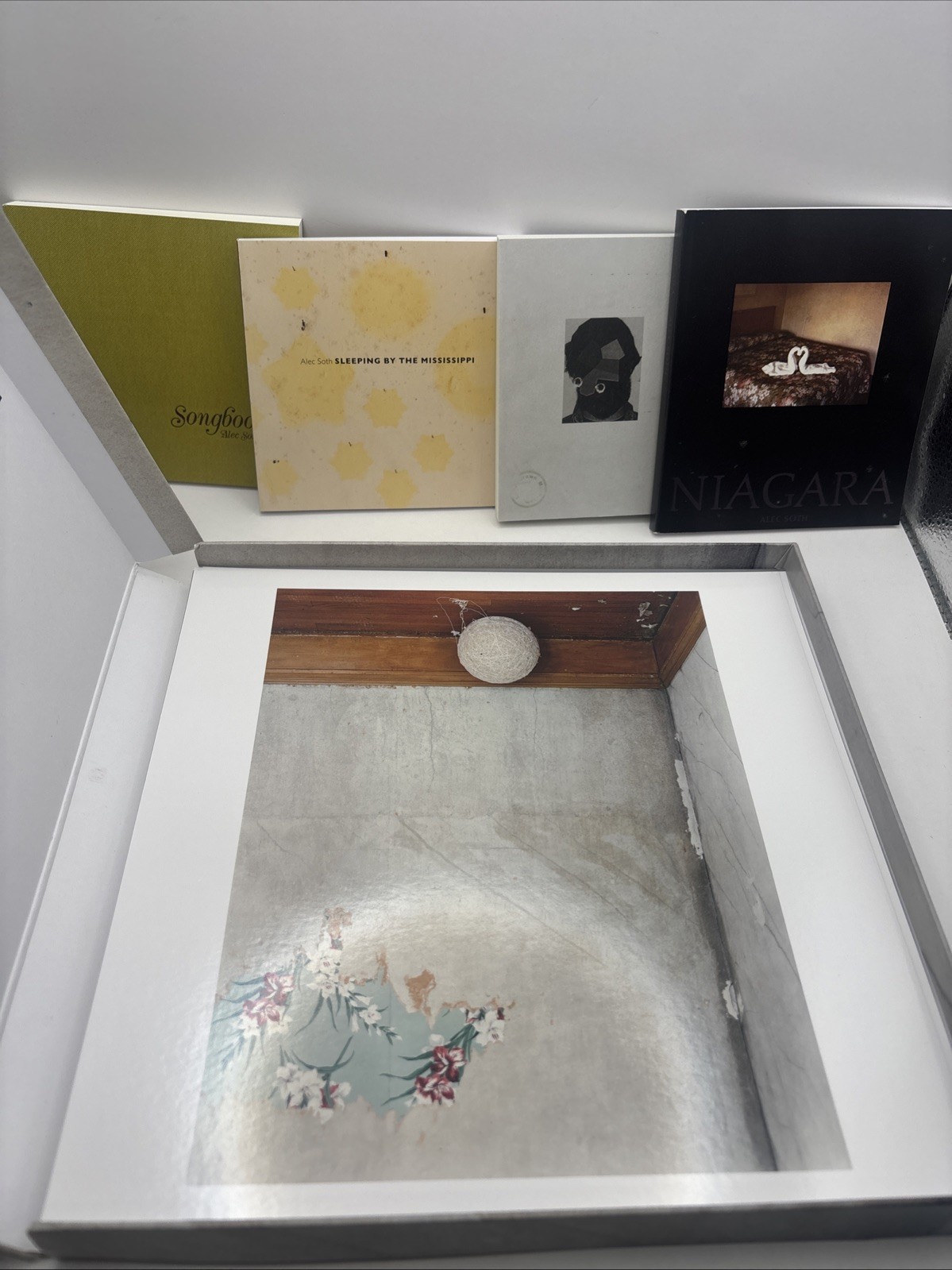 Signed Alec Soth Limited Edition Box With Postcards – Gathered Leaves