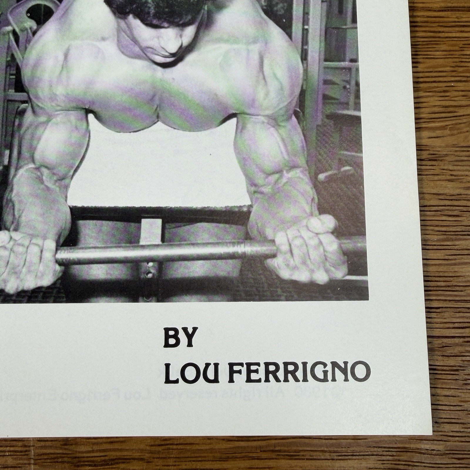 Super Rare Original Lou Ferrigno Muscular Size Power Bodybuilding Booklet Book