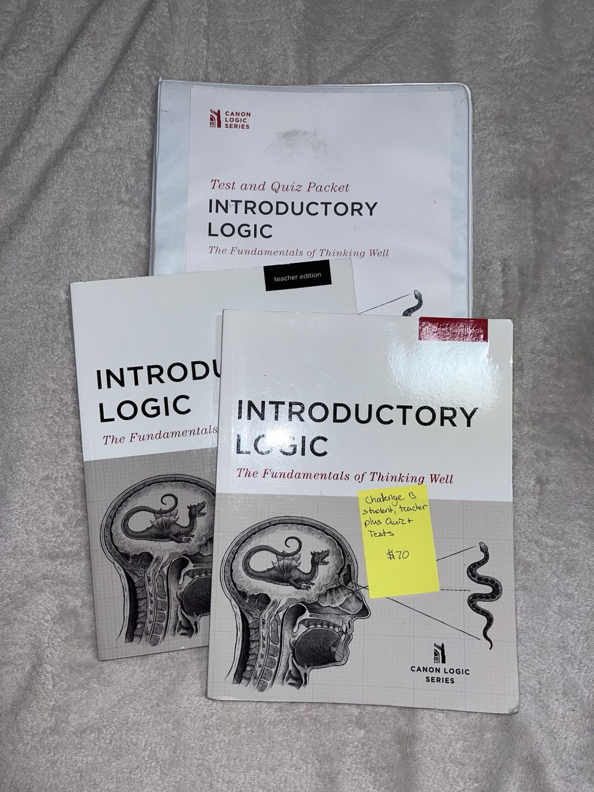 Introductory Logic: The Fundamentals of Thinking Well