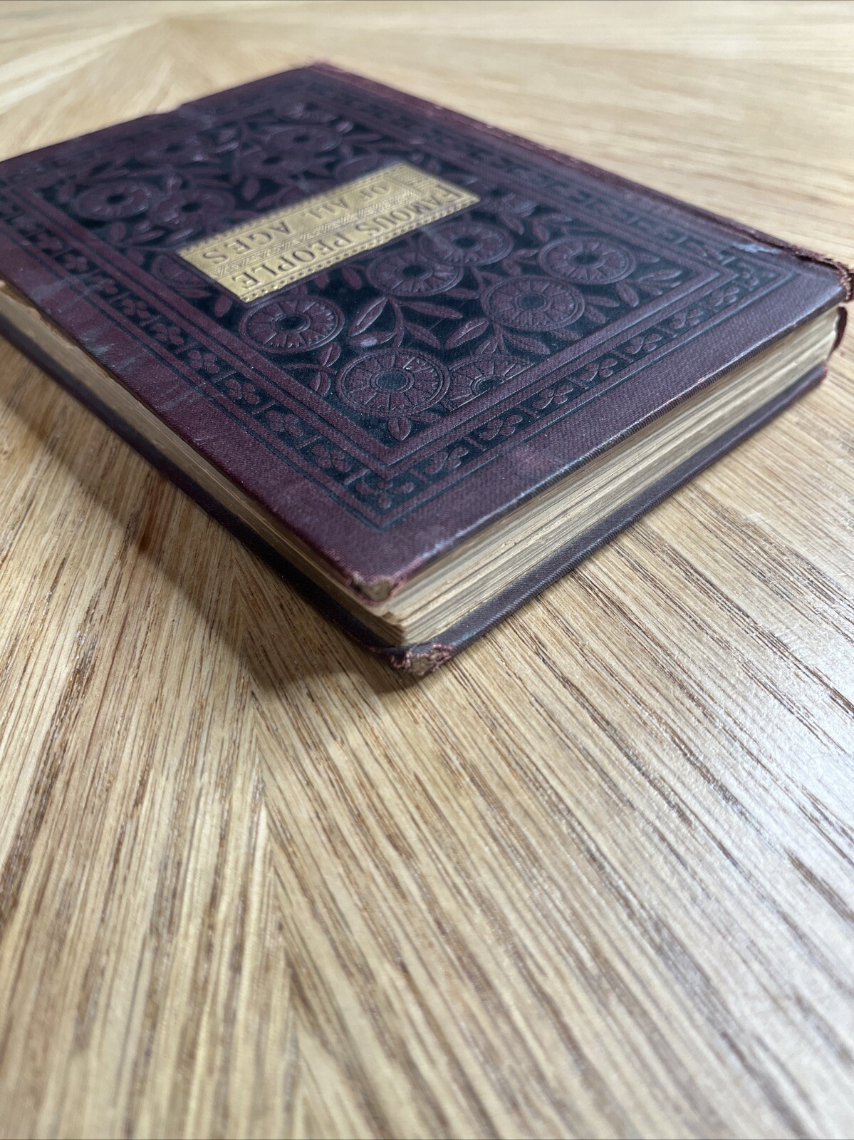 Famous People Of All Ages By W. H. Van Orden VTG 1885