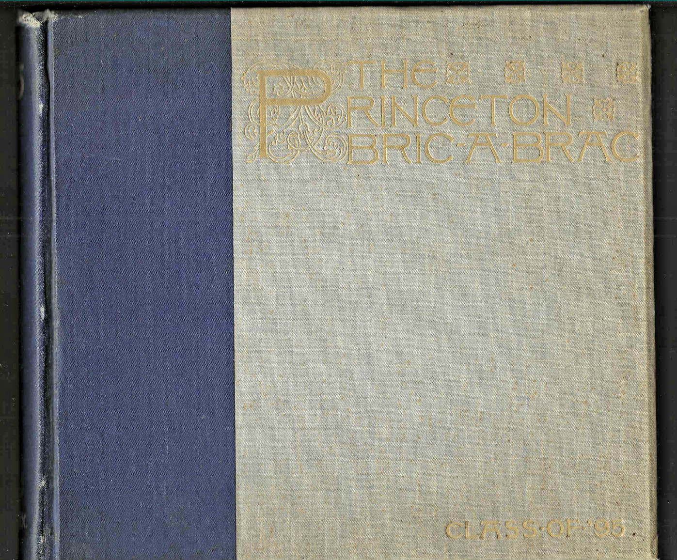 Princeton U Yearbook Bric A Brac 1895 antique photos National Football Champions