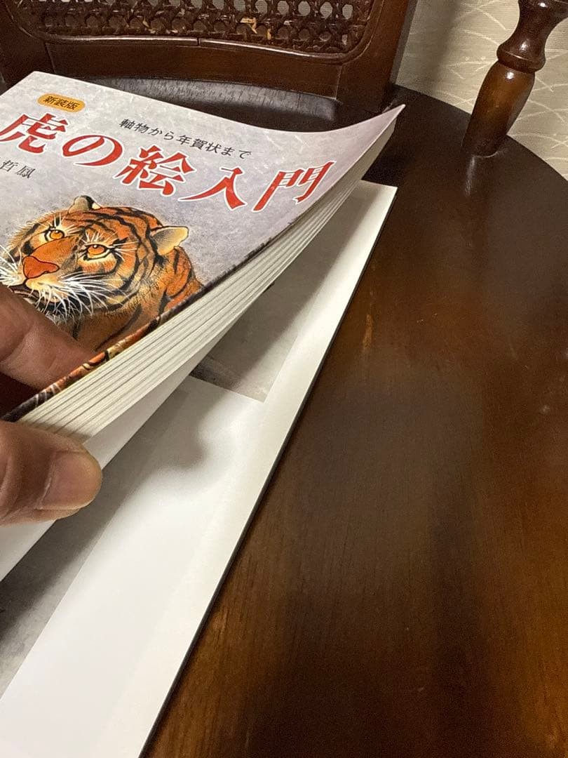 Tiger Drawing Guide New Edition Scrolls to New Year&rsquo;s Cards Technique Book