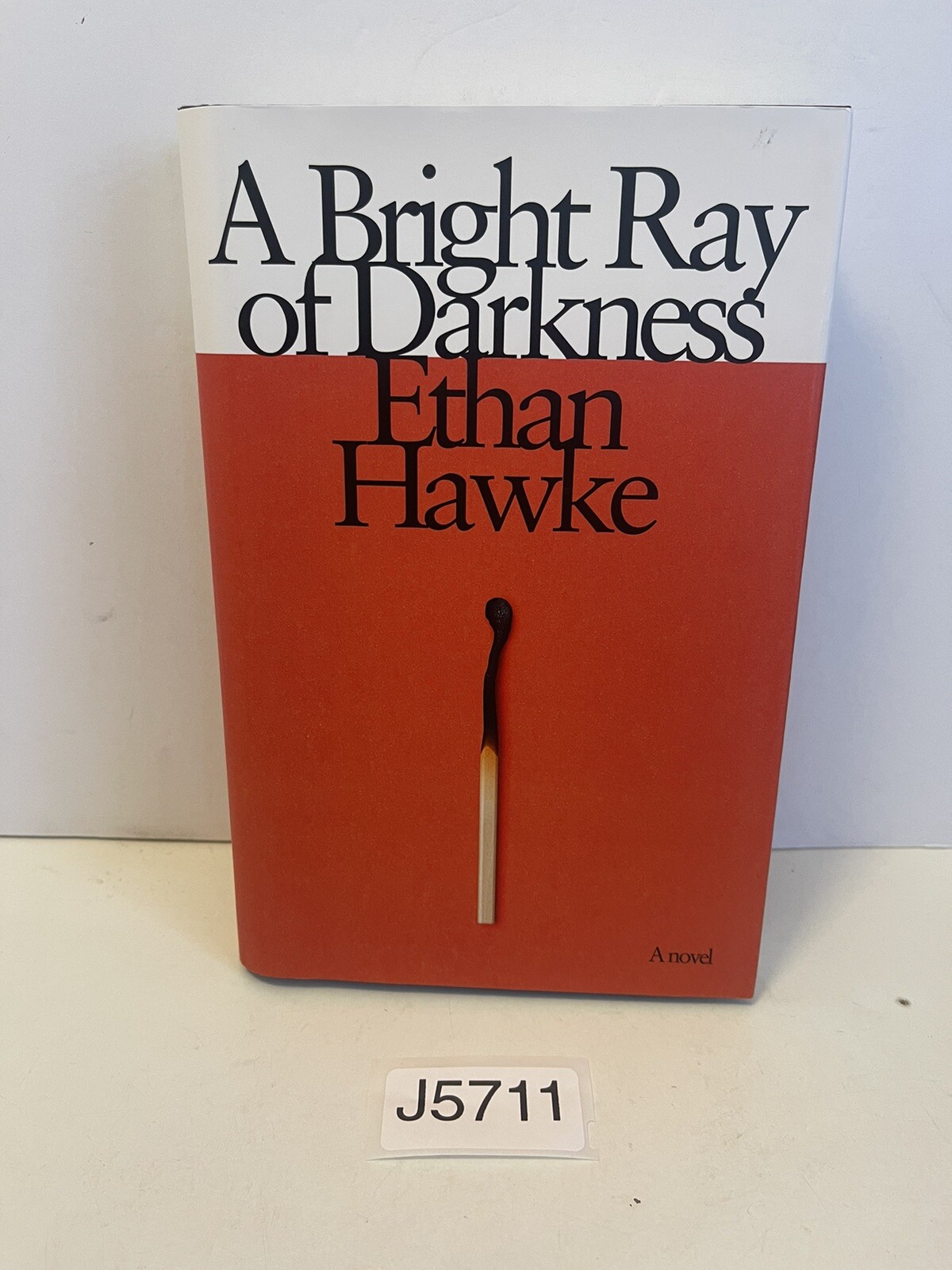 A Bright Ray of Darkness : A Novel by Ethan Hawke (2021, First Edition HC/DJ)