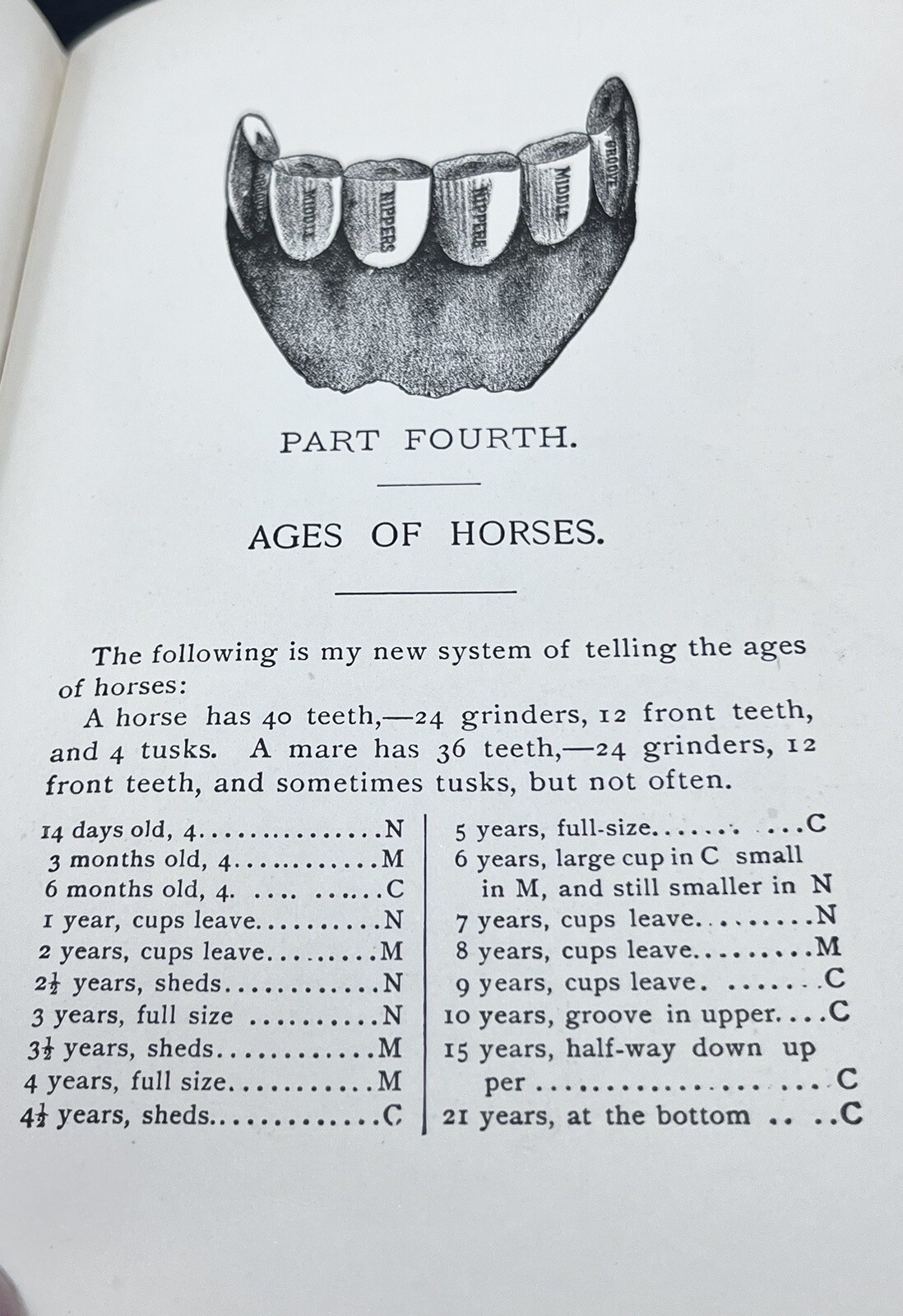1918 HOW to HANDLE & EDUCATE VICIOUS HORSES-205 Pages-Oscar Gleason-Illustrated