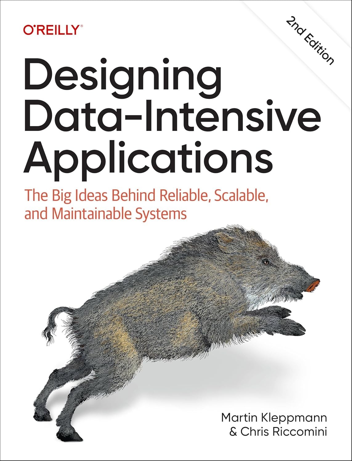 Designing Data-Intensive Applications: The Big Ideas Behind Reliable, Paperback