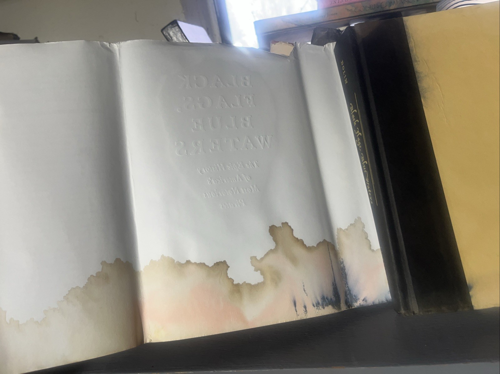 SIGNED by Eric Jay Dolin BLACK FLAGS BLUE WATERS 2018 1st Ed 1st Print READ DESC
