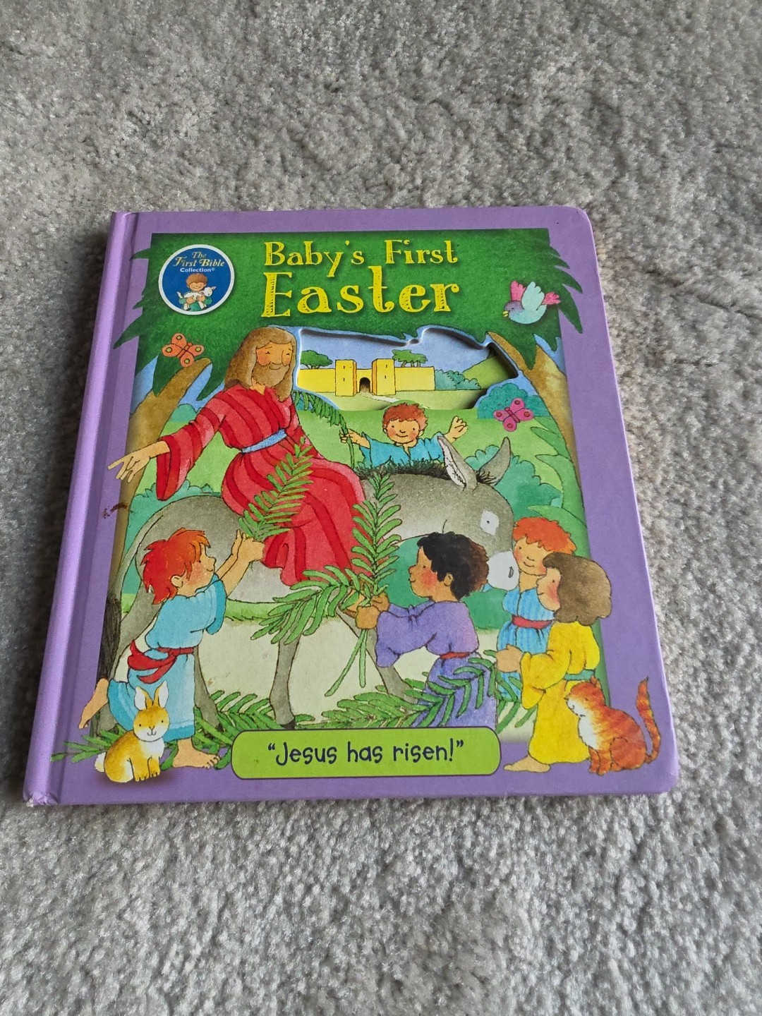 Baby&rsquo;s First Easter by Lori C. Froeb (2019, Hardcover)