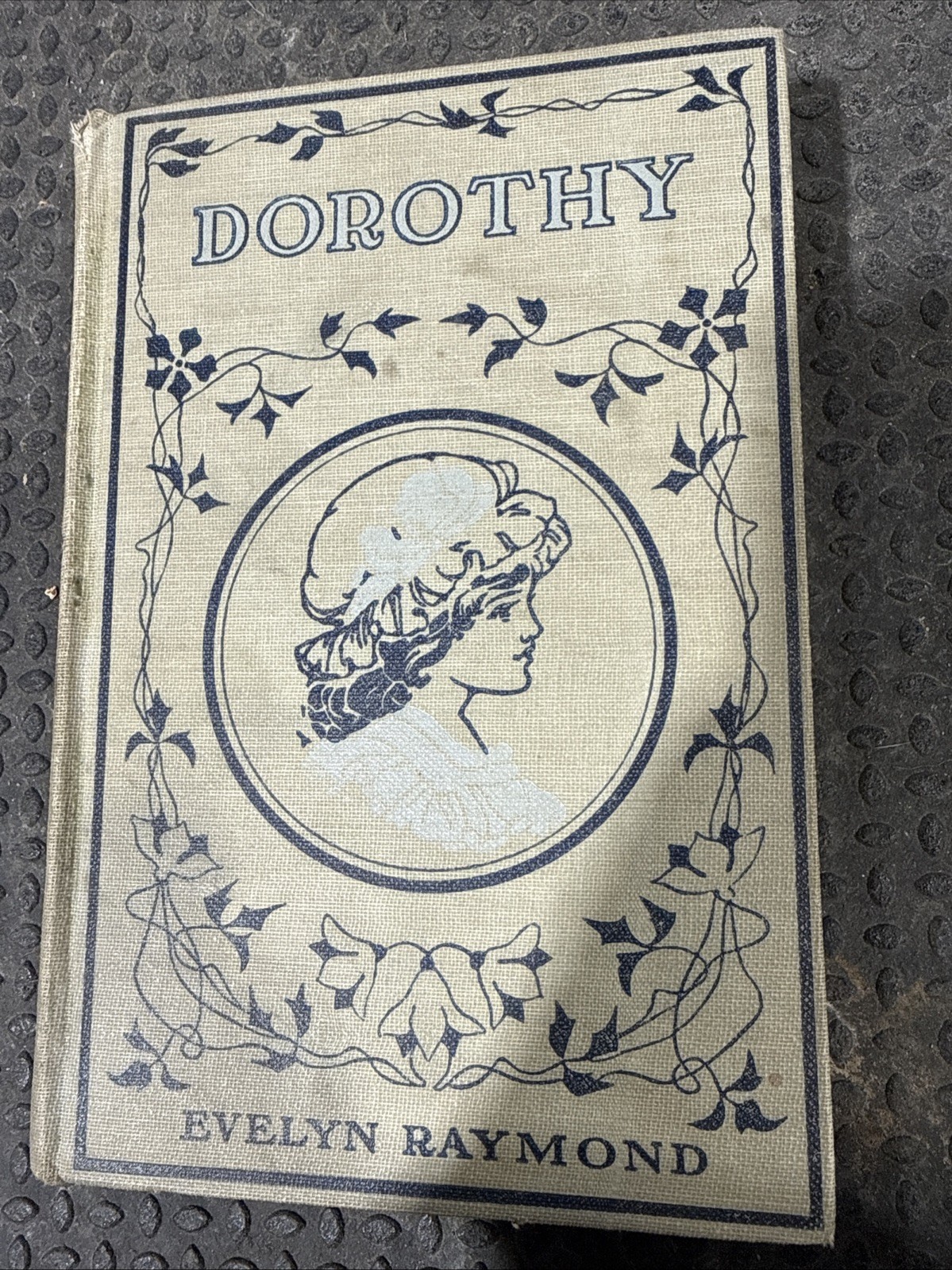 Dorothy at Skyrie by Evelyn Raymond (1907) HC 324 Pages