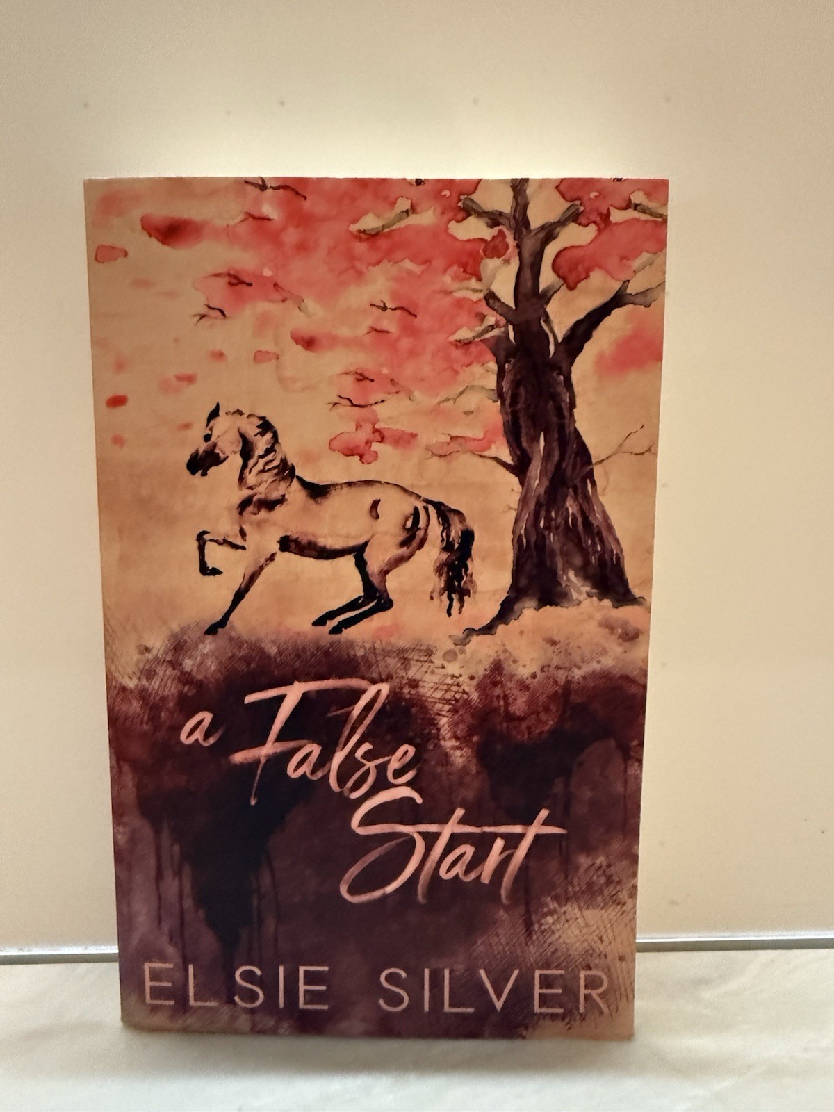 Elsie Silver A False Start